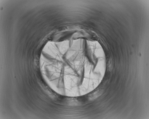 X0000082730424200702232352