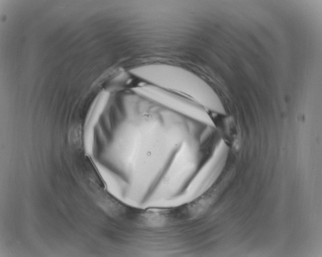 X0000082730425200702232352