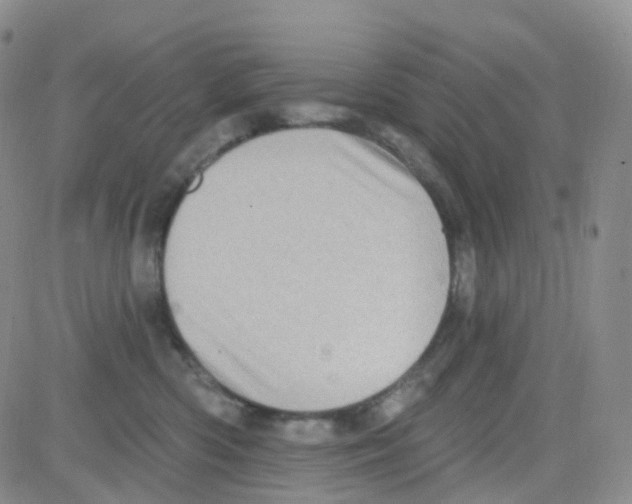 X0000082730426200702232352