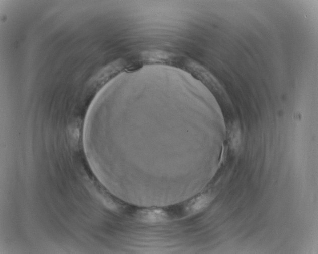 X0000082730427200702232352