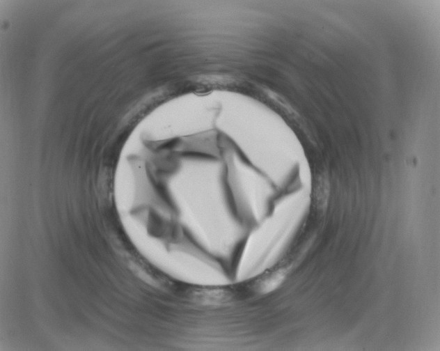 X0000082730428200702232352