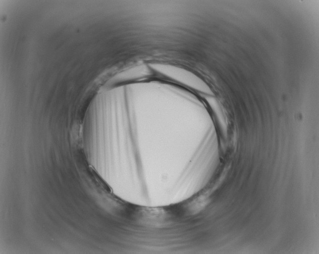 X0000082730429200702232352