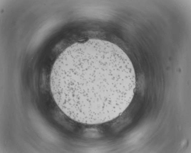 X0000082730430200702232352