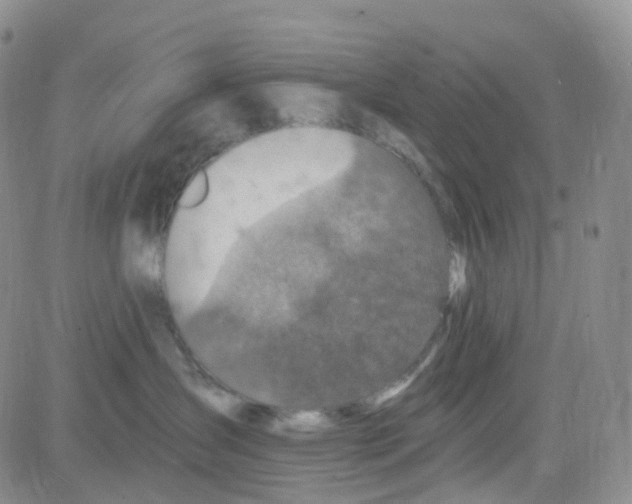 X0000082730431200702232352