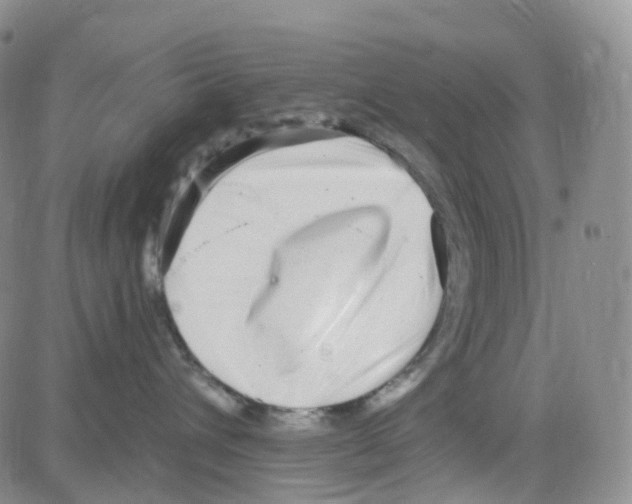 X0000082730432200702232352