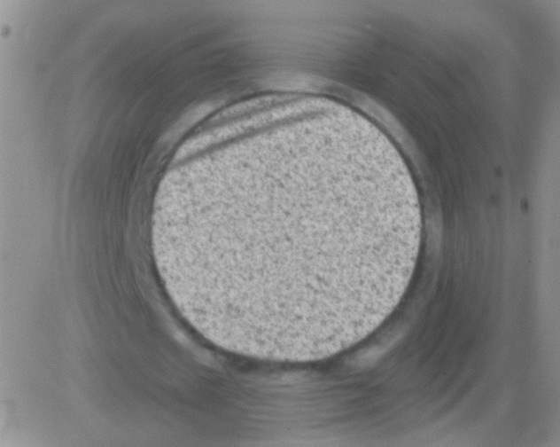 X0000082730433200702232351