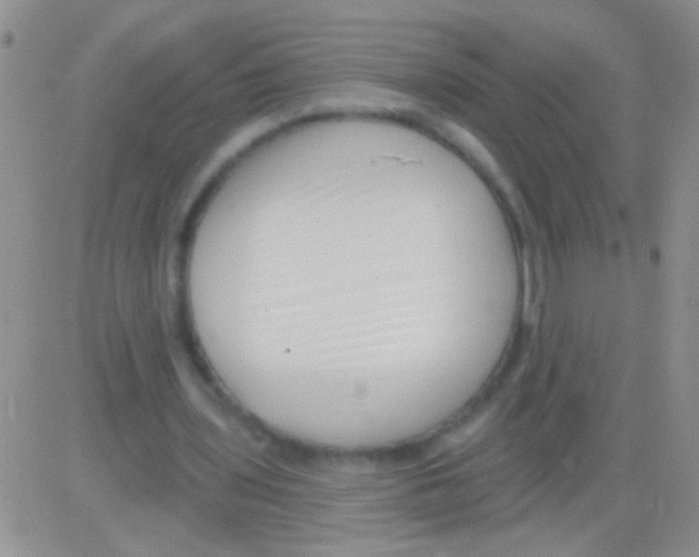 X0000082730435200702232351