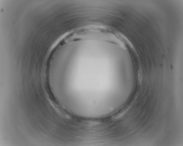 X0000082730436200702232351