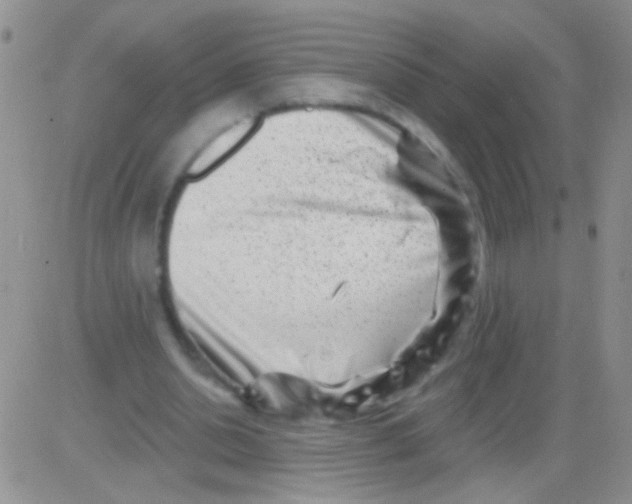 X0000082730438200702232351