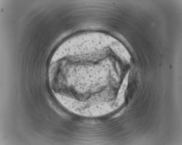 X0000082730439200702232351