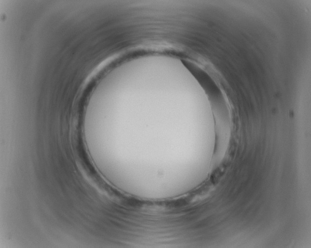 X0000082730440200702232351