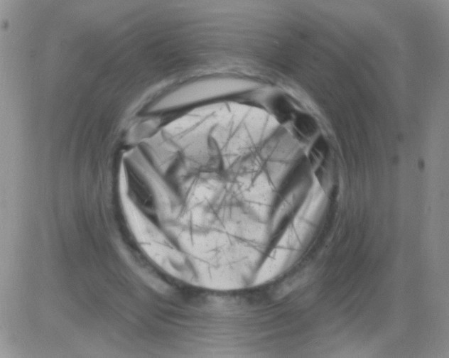 X0000082730442200702232351