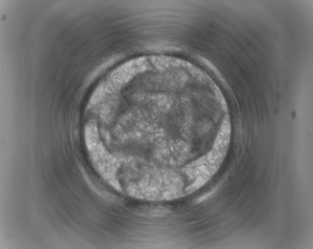 X0000082730443200702232351