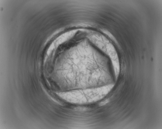 X0000082730444200702232351