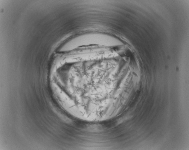 X0000082730446200702232351