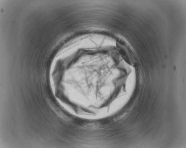 X0000082730447200702232351