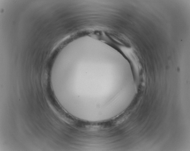 X0000082730448200702232351