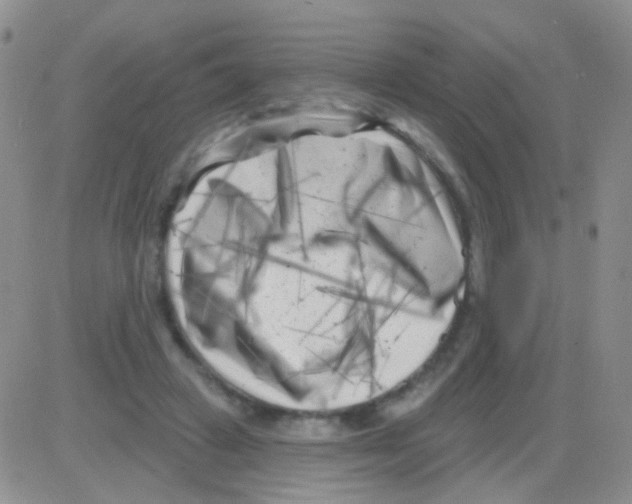 X0000082730449200702232351