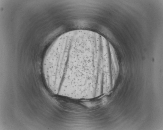 X0000082730450200702232351