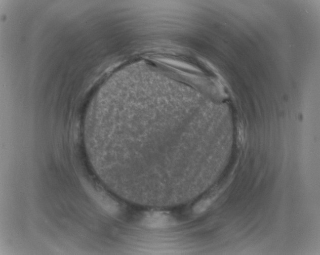 X0000082730451200702232351