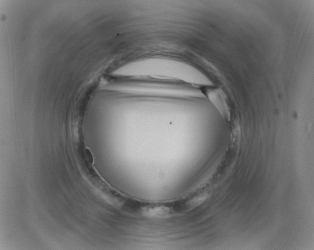 X0000082730452200702232351