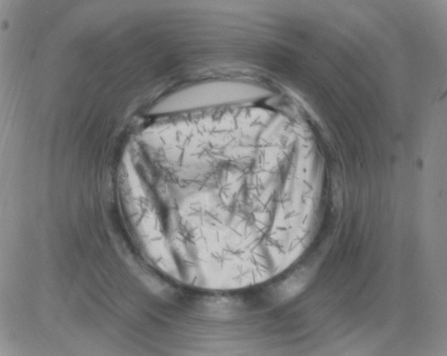 X0000082730453200702232351