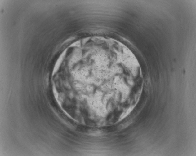 X0000082730454200702232351