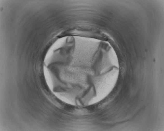 X0000082730455200702232351