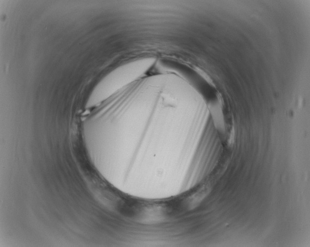 X0000082730456200702232351