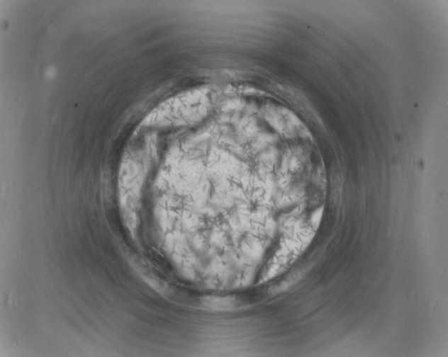 X0000082730457200702232351