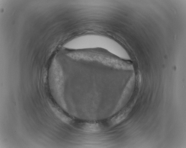 X0000082730458200702232351