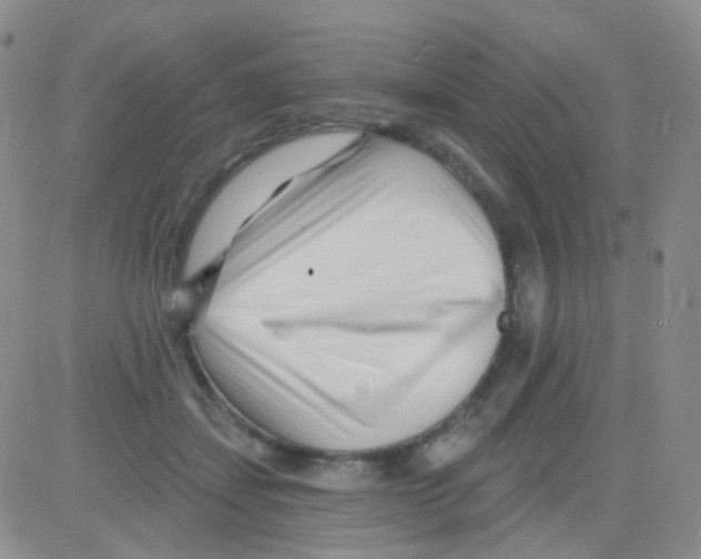 X0000082730459200702232351