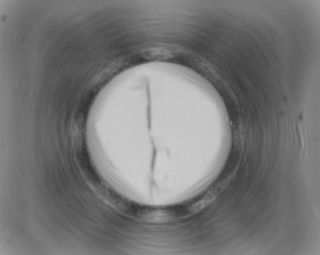 X0000082730460200702232351