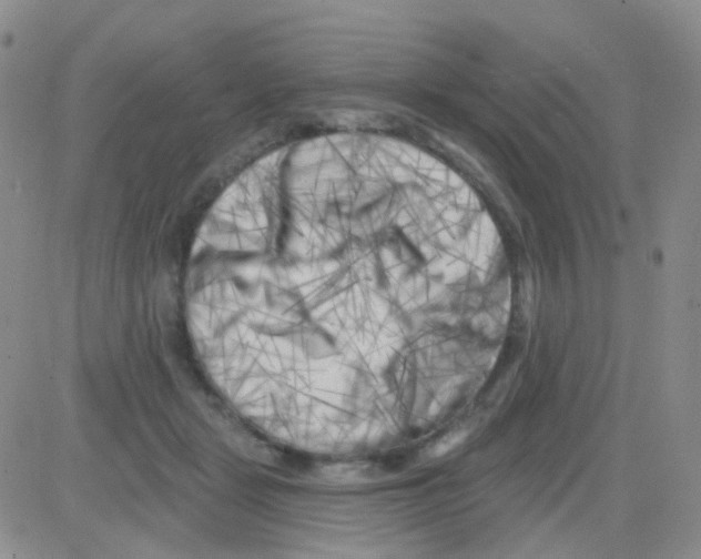 X0000082730461200702232351