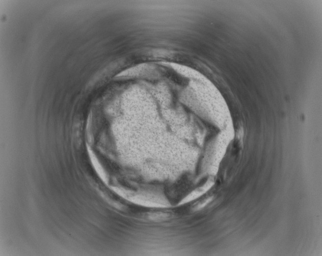 X0000082730462200702232351