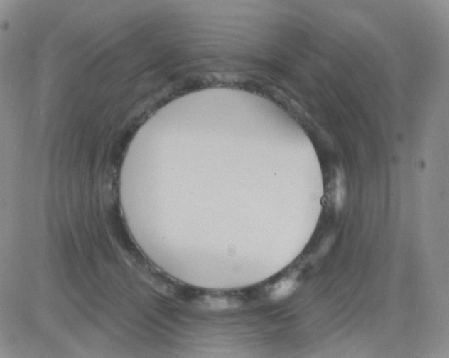 X0000082730464200702232351