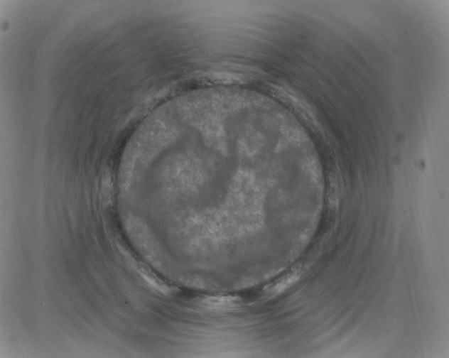 X0000082730465200702232351