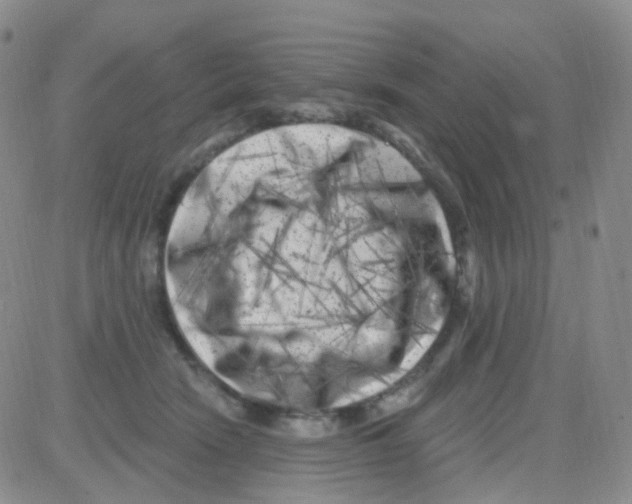 X0000082730466200702232351