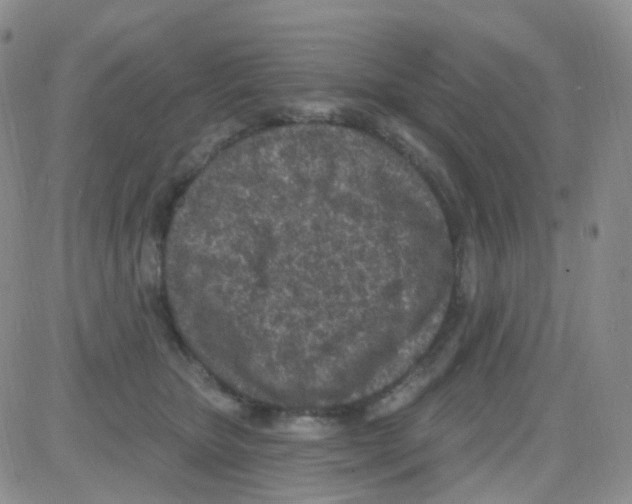 X0000082730467200702232351