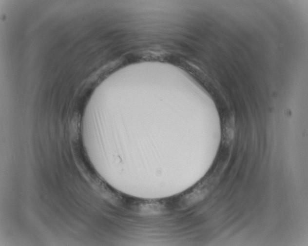 X0000082730468200702232351