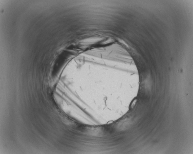 X0000082730469200702232351