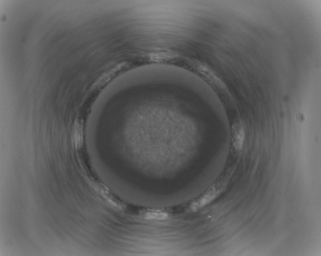 X0000082730471200702232352