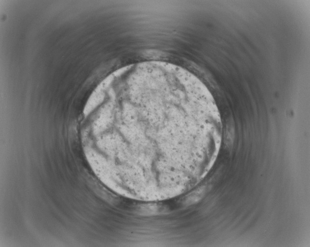 X0000082730473200702232352