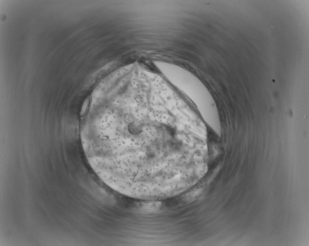 X0000082730474200702232352