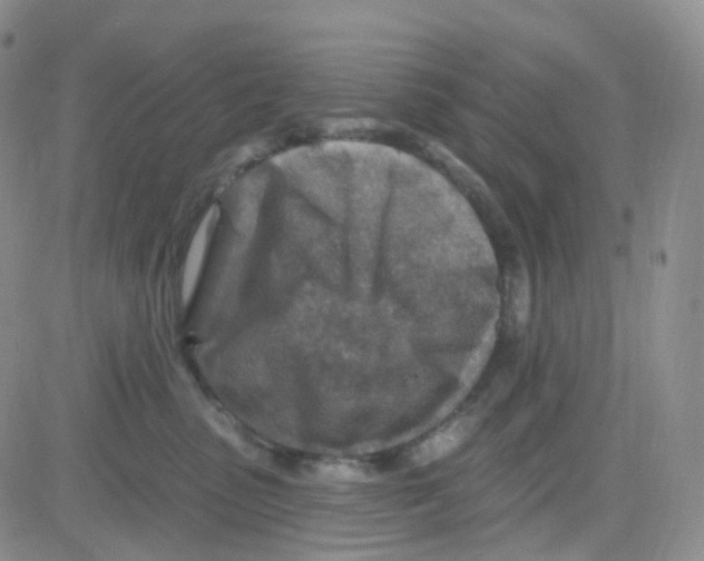 X0000082730475200702232352