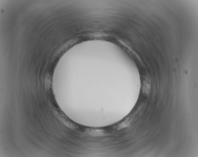 X0000082730476200702232352