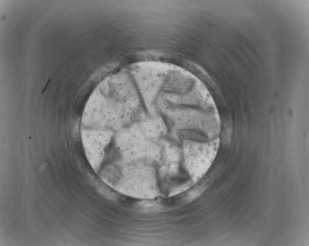 X0000082730477200702232352