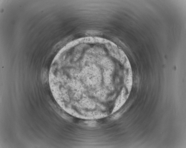 X0000082730478200702232352