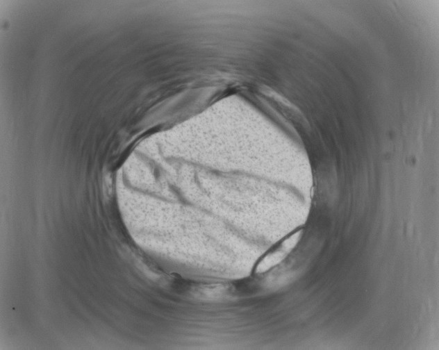 X0000082730479200702232352