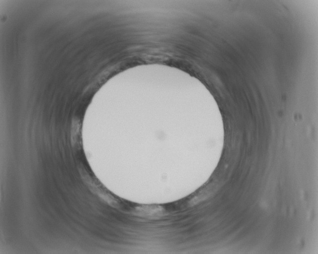 X0000082730480200702232352